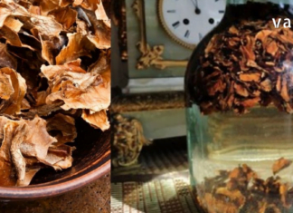 კაკლის უღელით ჩიყვის მკურნალობა ყველაზე მარტივია – გაგიზიარებთ ჩემს გამოცდილებას..