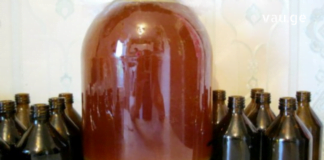 დინდგელის წყალხსნარი, რომლის მომზადებაც ყველამ უნდა იცოდეს…