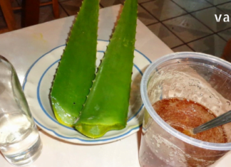 მას შემდეგ რაც ალოე ვერას სამკურნალო რეცეპტები აღმოვაჩინე, აფთიაქში აღარ შევდივარ