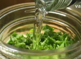 ამ სტატიიდან გაიგებთ, როგორ მოამზადოთ სასმელი, რომელიც კლავს ტოქსინებს: როზმარინი, გრეიფრუტი და მწვანე ჩაი! – უნიკალური საშუალება!