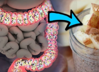 ძველი ბერძნების რჩევა – გაასუფთავეთ ტოქსიკური ნარჩენებისგან ნაწლავები ვაშლით, თაფლით და ჩიას თესლით.