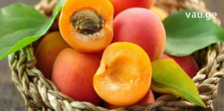 გარგარი- საუკეთესო საშუალება მრავალი დაავადების წინააღმდეგ. მნიშვნელოვანი ინფორმაციაა