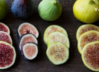 გაიგეთ ამ სტატიაში მეტი ლეღვის სამკურნალო თვისებების შესახებ