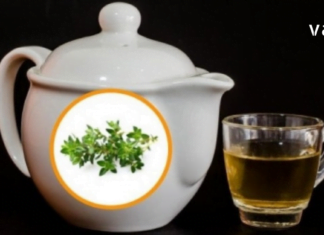 ძველი ბერძნული სასმელი, რომელსაც უზარმაზარი სარგებელი მოაქვს მთლიანი ორგანიზმისთვის.