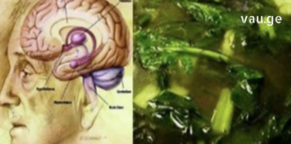 მეხსიერების პრობლემა გაქვთ? არ იცით როგორ დააღწიოთ თავი? დაიწყეთ ამ პროდუქტის სისტემატიურად მიღება და დააკვირდით შედეგს.