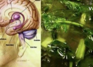 მეხსიერების პრობლემა გაქვთ? არ იცით როგორ დააღწიოთ თავი? დაიწყეთ ამ პროდუქტის სისტემატიურად მიღება და დააკვირდით შედეგს.