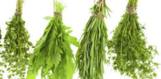 4 ტოპ სანელებელი, რომელიც კლავს ყველა ბაქტერიას და იცავს ტვინის უჯრედებს – ეს ყველამ უნდა გაიგოს !