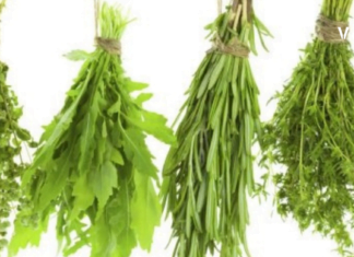 4 ტოპ სანელებელი, რომელიც კლავს ყველა ბაქტერიას და იცავს ტვინის უჯრედებს – ეს ყველამ უნდა გაიგოს !