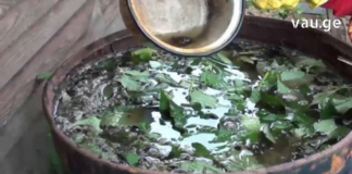 ბებოს რეცეპტი, რომელიც უებარია ფაღარათის დროს – გირჩევთ თქვენც სცადოთ!