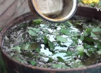 ბებოს რეცეპტი, რომელიც უებარია ფაღარათის დროს – გირჩევთ თქვენც სცადოთ!