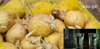 ერთ დღეს სამსახურში საუბარი დავიწყეთ სახსრების დაავადებებზე და ერთ-ერთმა კოლეგამ მიამბო, როგორ განიკურნა ამ მტაჯველი ტკივილისგან კარტოფილის თეთრი ყლორტებით!