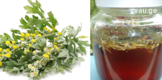 ძლიერი ანტიპარაზიტული მცენარეები – მათი მათი სამკურნალო თვისებები ჩემთვის ნამდვილი აღმოჩენაა!