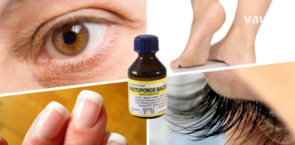 აბუსალათინის ზეთს “თხევად ოქროს” უწოდებენ. გაიგეთ რისთვის გამოიყენება ის.