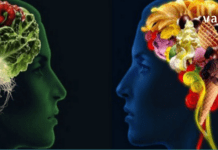 ამ სტატიაში გაგიზიარებთ ყველასთვის ხელმისაწვდომ პროდუქტს, რომელიც აუცილებელია ჯანმრთელი ტვინისა და მეხსიერებისათვის!