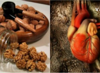 მიირთვით მხოლოდ 5 ცალი ნიგოზი და ნახეთ რა მოხდება 4 საათში. აუცილებლად უნდა სცადოთ