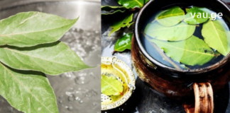 დაფნის ფოთლების ნახარში წარმატებით გამოიყენება ზოგიერთი დაავადების სამკურნალოდ. გაინტერესებთ რომელ დაავადებებს უმკლავდება?!