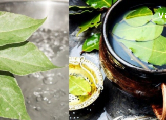 დაფნის ფოთლების ნახარში წარმატებით გამოიყენება ზოგიერთი დაავადების სამკურნალოდ. გაინტერესებთ რომელ დაავადებებს უმკლავდება?!