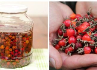 სტენოკარდიის დროს სასარგებლოა კუნელის ნაყენი