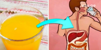 Რეგულარულად დალიეთ ეს სასმელი იმისათვის, რომ გული ყოველთვის ჯანმრთელი იყოს და ტვინი აქტიური.