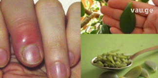 განმაცვიფრებელი თვისებებით მდიდარი ეს მცენარე იზრდება თქვენს სახლში: ისწავლეთ მისი სწორად გამოყენება!