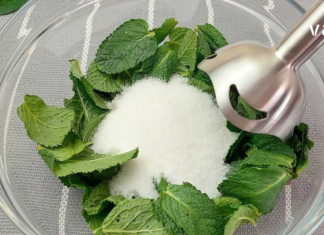 დღეს ჩვენ შემოგთავაზებთ ყველასთვის კარგად ნაცნობი მცენარის სახლის პირობებში გამოყენების 10 გზას.