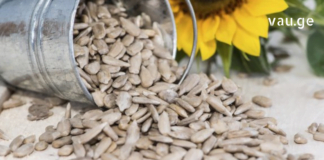 სასარგებლო ინფორმაცია მზესუმზირის შესახებ, რომელიც ყველასთვის უცნობია! – გაოცებას ვერ ვმალავ!