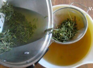 ამ სტატიიდან გაიგებთ,  როგორ მოამზადოთ სასმელი, რომელიც კლავს ტოქსინებს: როზმარინი, გრეიფრუტი და მწვანე ჩაი! – უნიკალური საშუალება!
