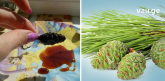 თუ მოულოდნელად ძალ-ღონე გამოგეცალათ, ენერგიის აღდგენის რამდენიმე განსაკუთრებულ მეთოდს გაგიზიარებთ !