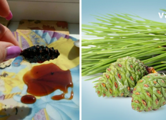 თუ მოულოდნელად ძალ-ღონე გამოგეცალათ, ენერგიის აღდგენის რამდენიმე განსაკუთრებულ მეთოდს გაგიზიარებთ !