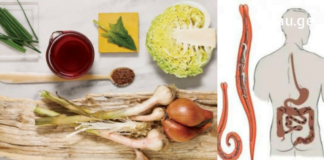 ამ რეცეპტის გამოყენებით თქვენ მარტივად შეძლებთ ორგანიზმიდან სრულიად გამოდევნოთ ჭიები!