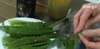 დღეში მხოლოდ 2 ს.კ და დაგავიწყდებათ კოლიტი, გასტრიტი, წყლული, ყაბზობა და ა.შ.