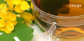 ქრისტესისხლას ბალახი: საოცრად სასარგებლო პროდუქტი, რომელიც მრავალი დაავადების მტერია