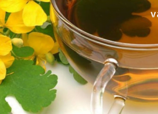 ქრისტესისხლას ბალახი: საოცრად სასარგებლო პროდუქტი, რომელიც მრავალი დაავადების მტერია