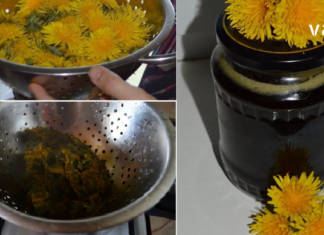 Როგორ კურნავს ბაბუაწვერას ჯემი ღვიძლს – საინტერესო მეთოდი