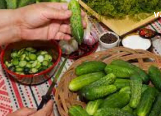 კიტრის ჭამისას, ალბათ, მხოლოდ მის გემოზე ფიქრობთ, თუმცა ამ სტატიის წაკითხვის შემდეგ ყოველთვის გაგახსენდებათ ის დადებითი თვისებები, რასაც ახლა გაიგებთ!