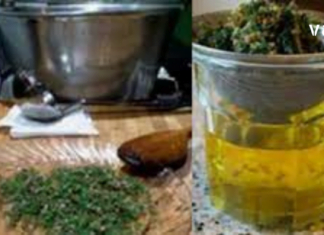 ბეგქონდარას სასწაული რეცეფტები ამ დაავადებების დროს – სისხლნაკლებობა, პნევმონია, ბრონქიტი, კუჭის დაბალი მჟავიანობა, მეტეორიზმი, თავის ტკივილი, უძილობა, ძლიერი ნერვული აღგზნება, ეპილეფსია, ნევრალგია, სტრესი