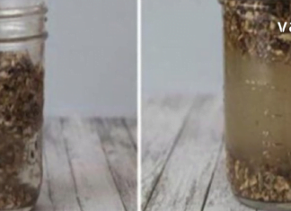 ეს ნაყენი რეკომენდირებულია ისეთი პრობლემების დროს, როგორიცაა: ხშირი თავის ტკივილები; ქრონიკული უძილობა; ნერვული დაძაბულობა; დეპრესია, ნერვული აშლილობა; თირკმელებისა და ღვიძლის დარღვევები და ა.შ.