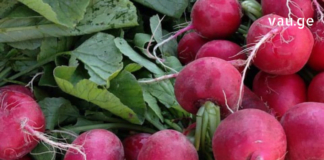 აი რატომ უნდა იყოს ბოლოკი მუდმივად ყველას სამზარეულოში! -გაიგეთ მეტი!