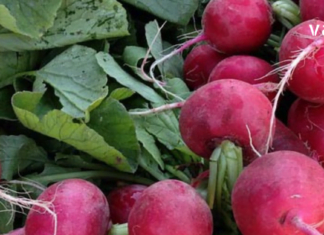 აი რატომ უნდა იყოს ბოლოკი მუდმივად ყველას სამზარეულოში! -გაიგეთ მეტი!