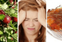 მოიმარაგეთ ძახველი, შინდი და ხურტკმელი – მკურნალობის ეფექტური გზა!