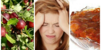 მოიმარაგეთ ძახველი, შინდი და ხურტკმელი – მკურნალობის ეფექტური გზა!