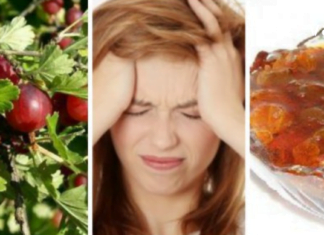 მოიმარაგეთ ძახველი, შინდი და ხურტკმელი – მკურნალობის ეფექტური გზა!