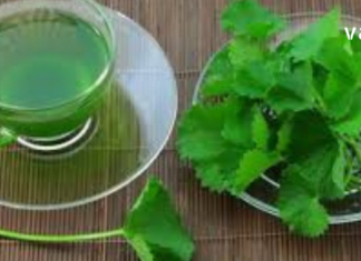 ერთი ჭიქა ნიახურის წვენი მყისიერად ამცირებს რევმატიზმით გამოწვეულ ტკივილს!