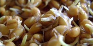 წამალი, რომელიც არაჩვეულებრივად მუშაობს! მიიღეთ ეს 6 თვეში ერთხელ და არასოდეს გახდებით ავად!