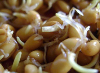 წამალი, რომელიც არაჩვეულებრივად მუშაობს! მიიღეთ ეს 6 თვეში ერთხელ და არასოდეს გახდებით ავად!