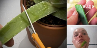 ბევრმა არ იცის, რომ ალოეს სამკურნალო თვისებებთან ერთად კანის გამაახალგაზრდავებელი ეფექტიც აქვს.