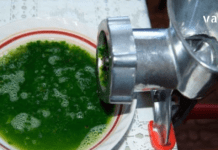 ბუნების საჩუქარი – 14 მიზეზი რატომ უნდა გქონდეთ ეს მცენარე აუცილებლად სახლში