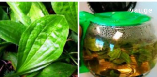 მრავალძარღვას სამკურნალო თვისებები ამოუწურავია. გაეცანით კიდევ ერთ სასწაულმოქმედ რეცეპტს.