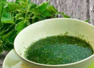 აი, რატომ უნდა მოიმარაგოთ ჭინჭარი: მას შეუძლია სასწაულების მოხდენა თქვენი ჯანმრთელობისთვის!