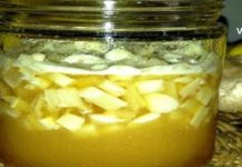 ეს ძველი გერმანული საშუალება ასუფთავებს არტერიებს, აძლიერებს თქვენს იმუნურ სისტემას და ამცირებს ქოლესტერინის დონეს – უბრალოდ გასაოცარია